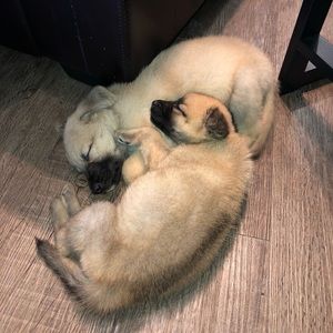 Meet your Posher, Kendall